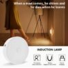 Smart Motion Sensor Night Lights - Image 3
