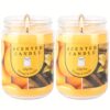 Pack of 2 Orange & Vanilla Blossom Odor Elimination Scented Candles Gift Set for Women, Soy Wax Candles for Home - Image 5