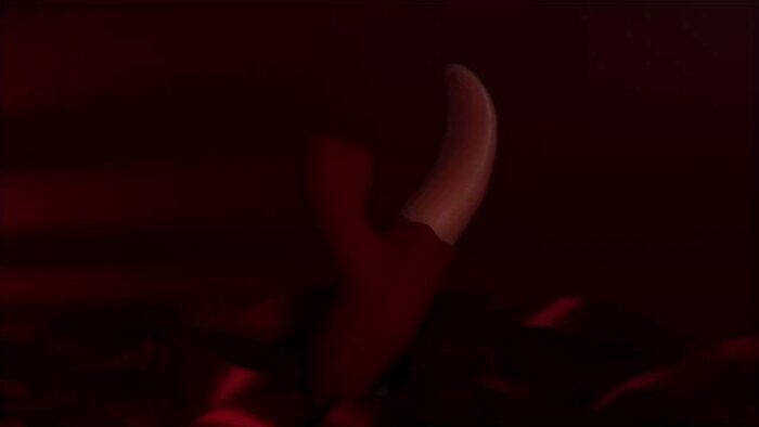 1pc 2 In 1 Lick Suck Vibrators For Women Licking Tongue Clitoris Stimulator G Spot Massager Vagina Sucking Female Pleasure Sex Toys.. - 图片 3